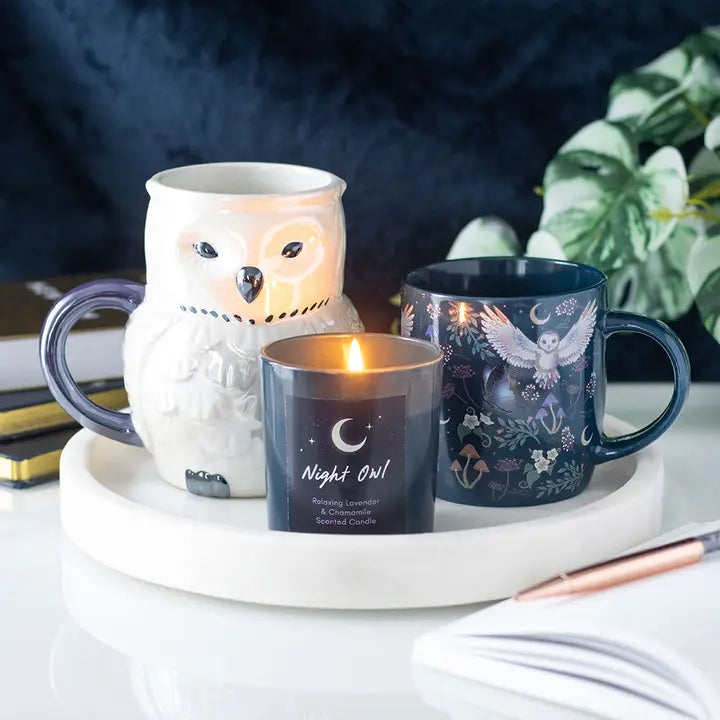 Mug 320 ml "Night Flight Owl"