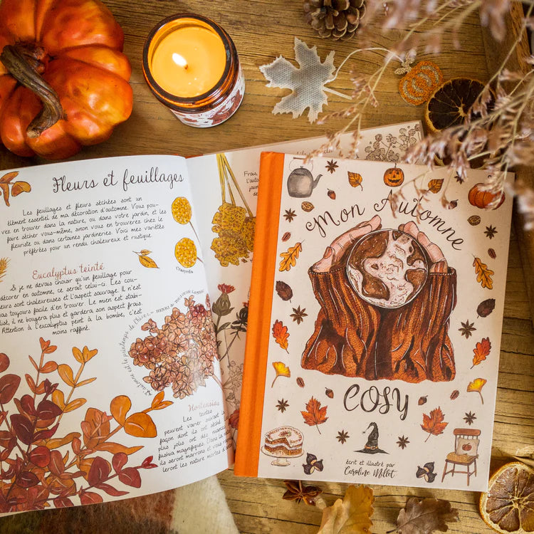 Caro from woodland livre illustration mon automne cosy
