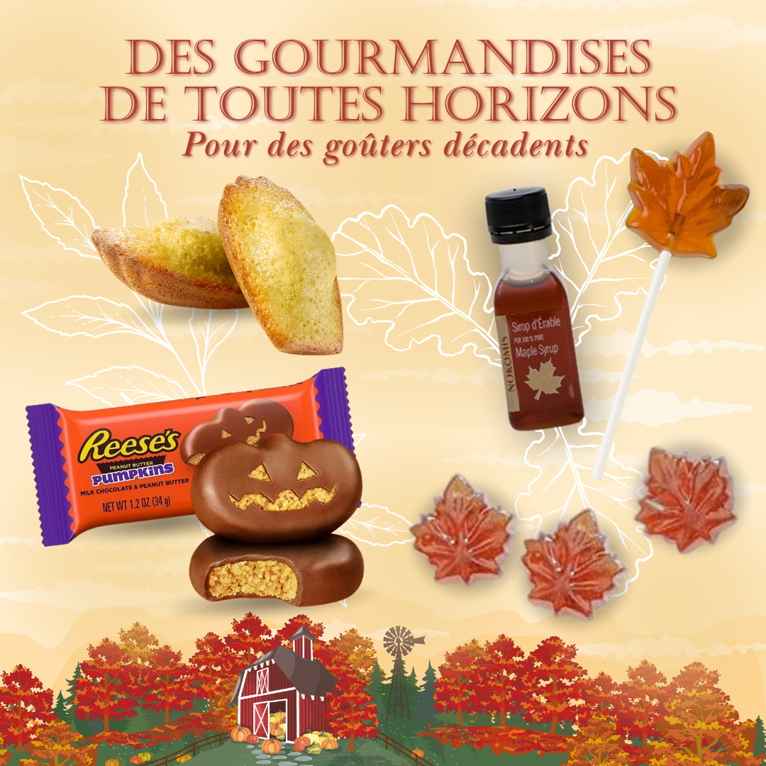 Coffret "Les Trésors d&