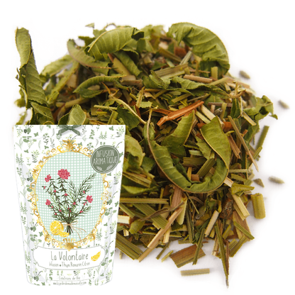 Infusion The Volunteer