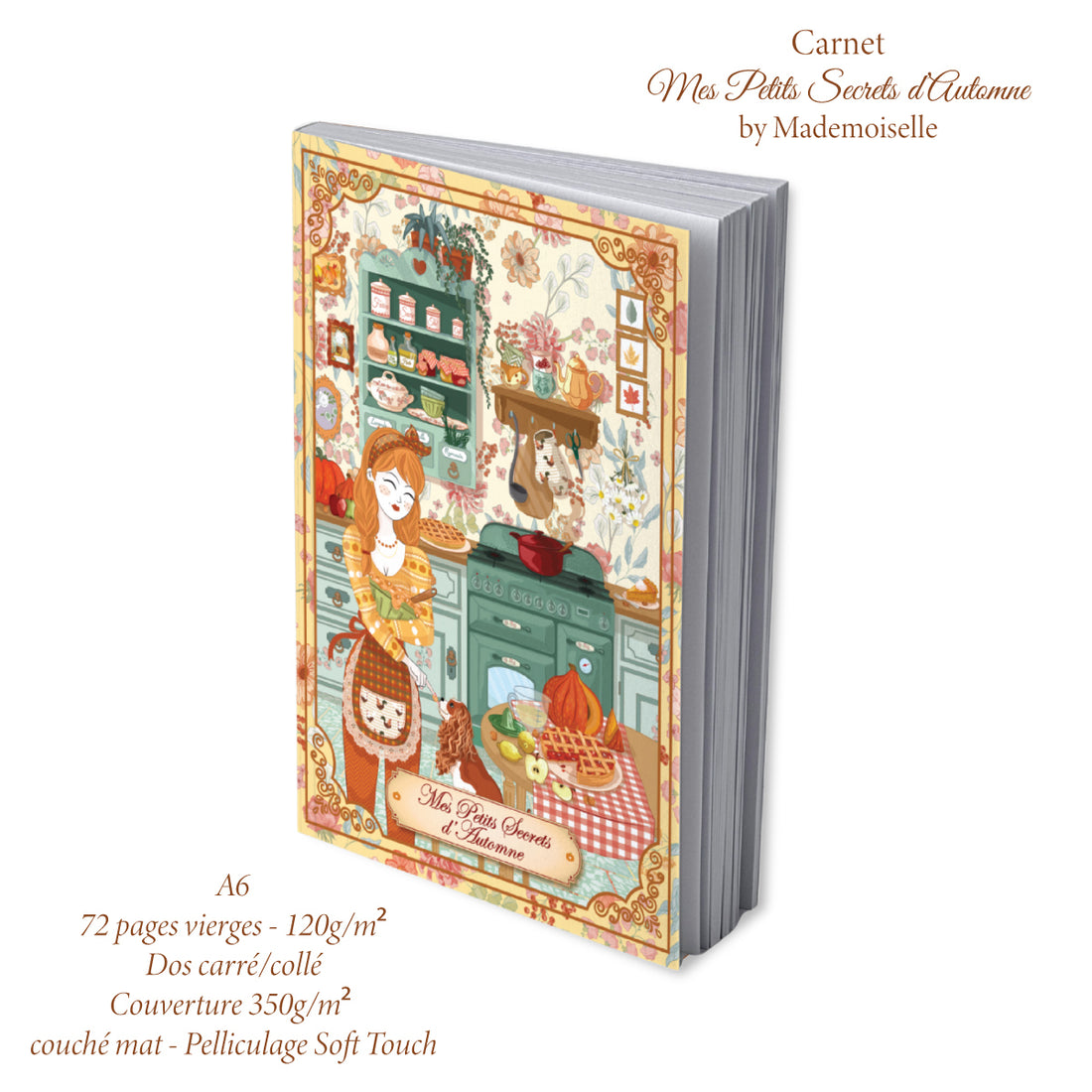 Carnet Mes Petits Secrets d&